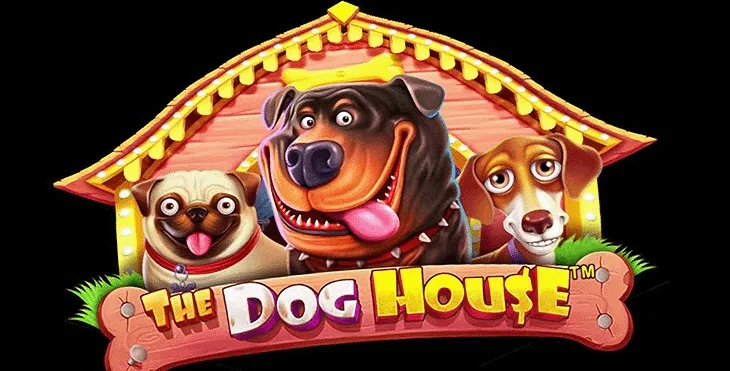 The dog house