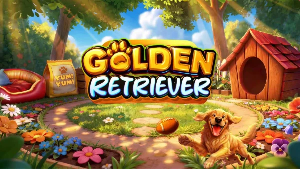 Golden Retriever reels